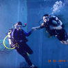 Picture taken during the dive