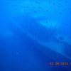 Picture taken during the dive