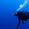 Picture taken during the dive