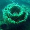 Picture taken during the dive