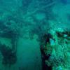 Picture taken during the dive