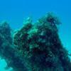 Picture taken during the dive