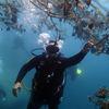 Picture taken during the dive