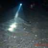 Picture taken during the dive