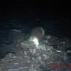 Picture taken during the dive