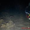 Picture taken during the dive