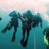 Picture taken during the dive