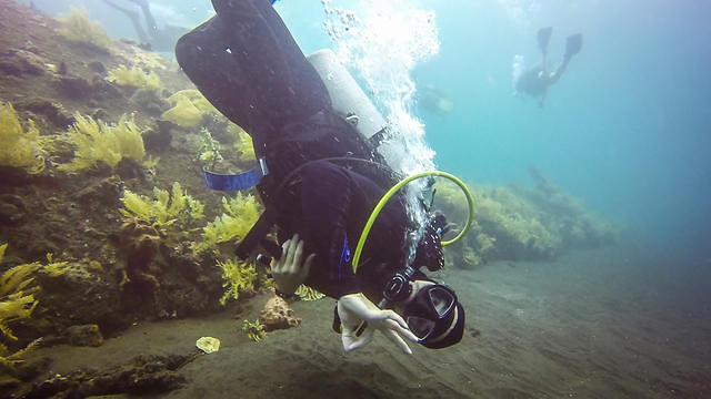 Pro Dive Bali - Dive Center in Indonesia