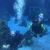 Picture taken during the dive