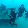 Picture taken during the dive
