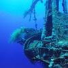 Picture taken during the dive