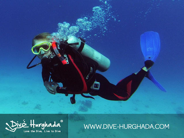 Dive Hurghada - Dive Center in Egypt