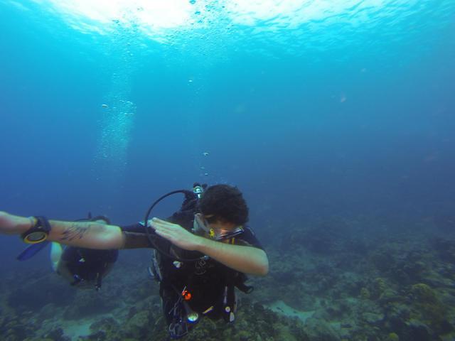 Cip Bouillante - Dive Center in Guadeloupe