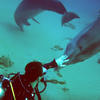 Picture taken during the dive
