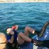 Picture taken during the dive