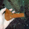 Picture taken during the dive