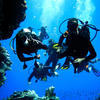 Picture taken during the dive