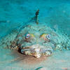 Picture taken during the dive