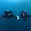 Picture taken during the dive