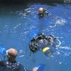 Picture taken during the dive