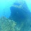 Picture taken during the dive