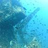 Picture taken during the dive