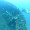 Picture taken during the dive