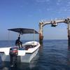 Picture taken during the dive