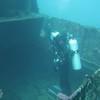 Picture taken during the dive