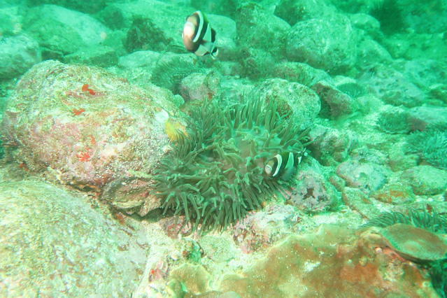 Jetty Dive Centre - Dive Center in Australia
