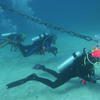 Picture taken during the dive