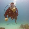 Picture taken during the dive