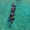 Picture taken during the dive