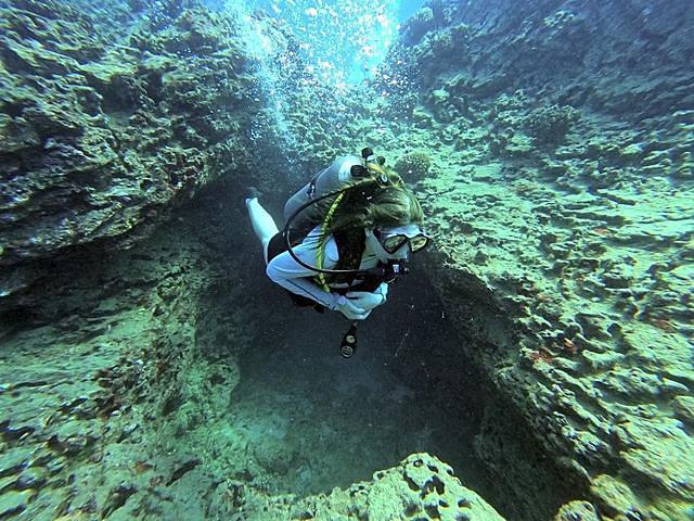 Island Divers Hawaii - Dive Center in United States