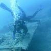 Picture taken during the dive