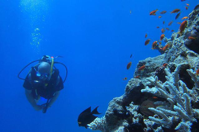 Aquarius Diving Club - Dive Center