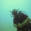 Picture taken during the dive