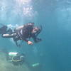 Picture taken during the dive