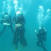 Picture taken during the dive