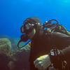 Picture taken during the dive