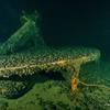 Picture taken during the dive