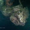 Picture taken during the dive