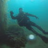 Picture taken during the dive