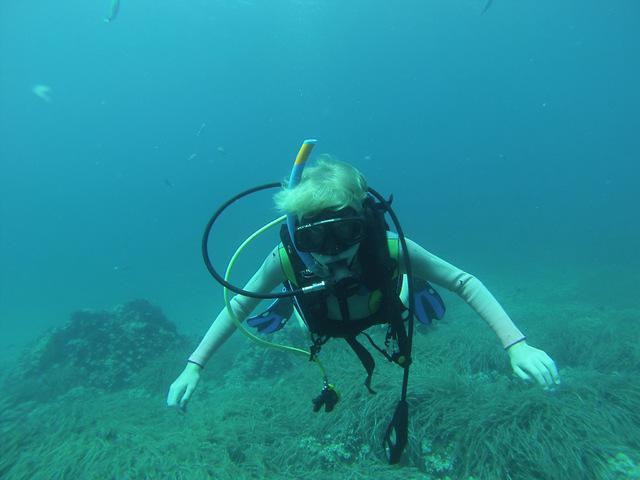 Octopus Diving Center - Dive Center in Greece