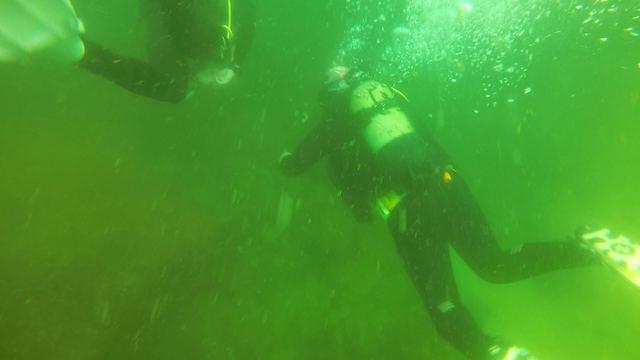 CascaisDive-Diving Center - Dive Center in Portugal