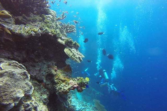 Island Scuba - Dive Center in Puerto Rico
