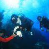 Picture taken during the dive