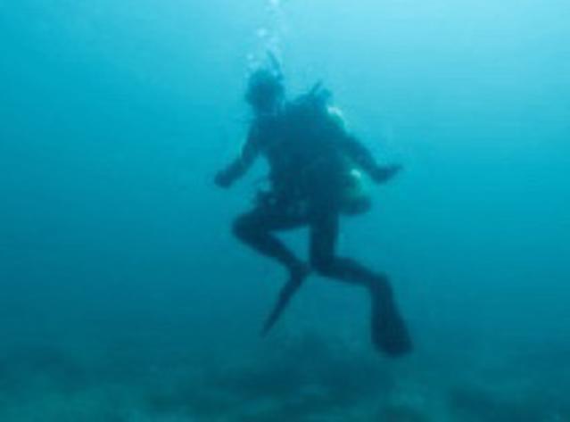 Sea Experience - Dive Center in United States