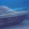 Picture taken during the dive