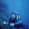 Picture taken during the dive